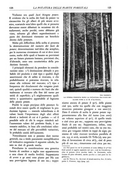 L'alpe rivista forestale italiana fondata dalla Società emiliana pro-montibus et sylvis