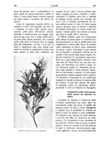 giornale/TO00174164/1935/unico/00000184