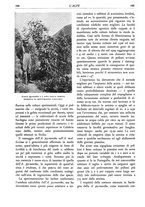 giornale/TO00174164/1935/unico/00000186