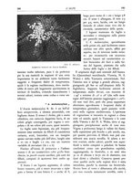 giornale/TO00174164/1935/unico/00000198