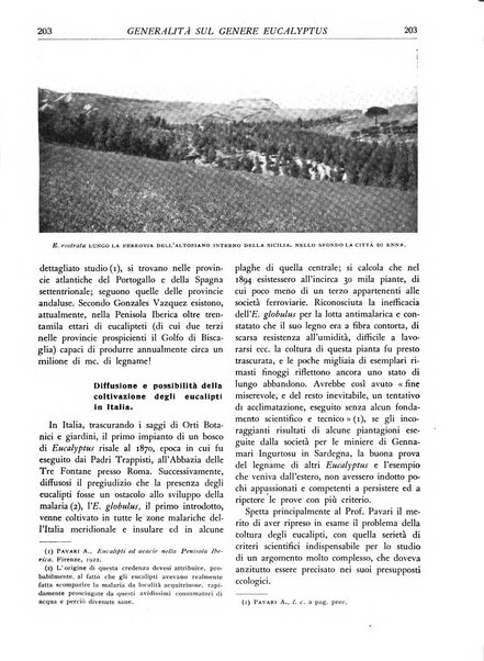 L'alpe rivista forestale italiana fondata dalla Società emiliana pro-montibus et sylvis