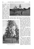 giornale/TO00174164/1935/unico/00000243