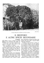 giornale/TO00174164/1935/unico/00000247