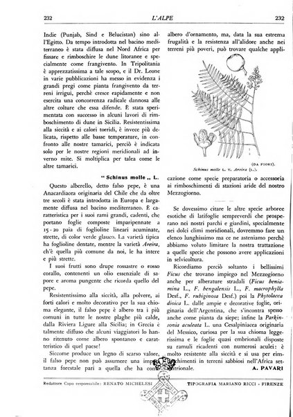 L'alpe rivista forestale italiana fondata dalla Società emiliana pro-montibus et sylvis