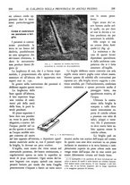 giornale/TO00174164/1935/unico/00000281