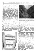 giornale/TO00174164/1935/unico/00000285