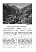 giornale/TO00174164/1935/unico/00000379