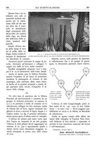 giornale/TO00174164/1935/unico/00000395