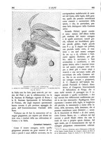 giornale/TO00174164/1935/unico/00000416