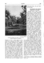 giornale/TO00174164/1935/unico/00000418