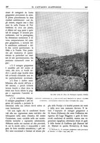 giornale/TO00174164/1935/unico/00000421