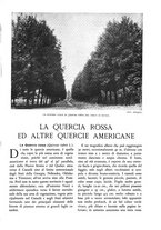 giornale/TO00174164/1935/unico/00000435