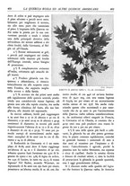 giornale/TO00174164/1935/unico/00000437