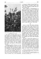 giornale/TO00174164/1935/unico/00000438