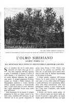 giornale/TO00174164/1935/unico/00000443