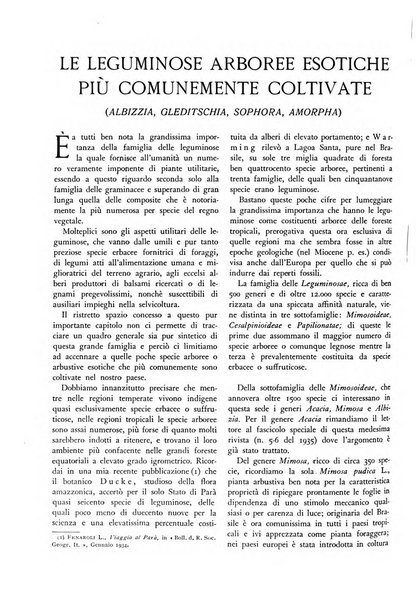 L'alpe rivista forestale italiana fondata dalla Società emiliana pro-montibus et sylvis