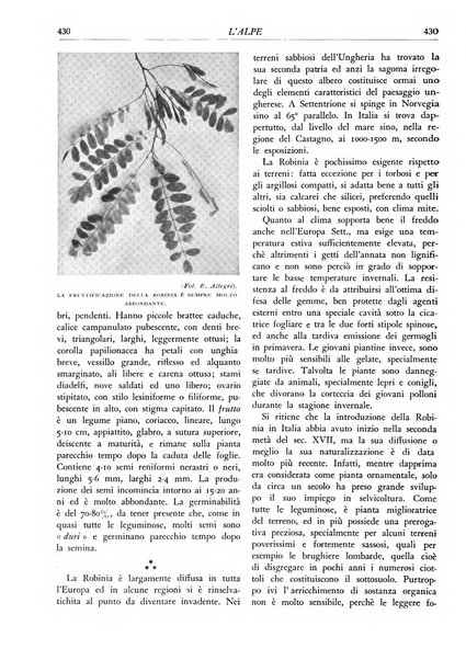 L'alpe rivista forestale italiana fondata dalla Società emiliana pro-montibus et sylvis