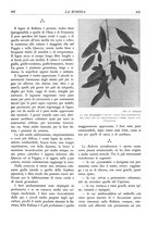 giornale/TO00174164/1935/unico/00000469