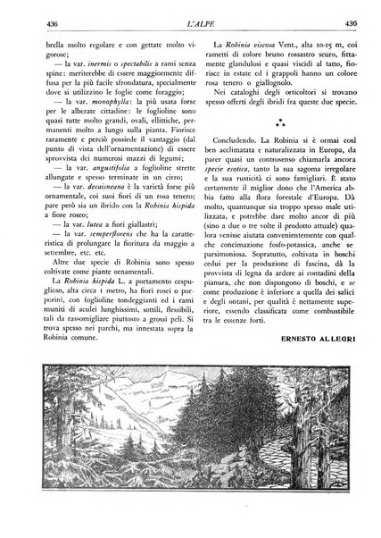 L'alpe rivista forestale italiana fondata dalla Società emiliana pro-montibus et sylvis