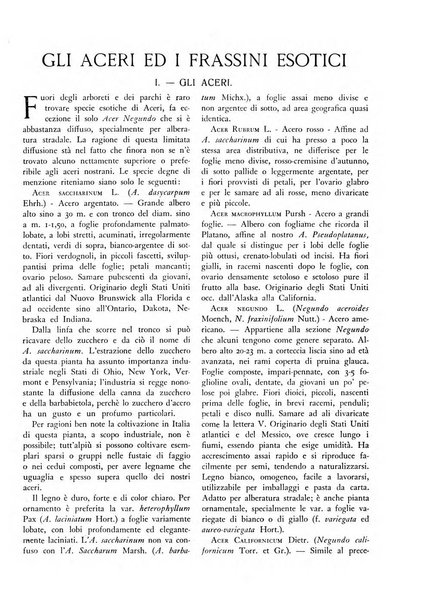 L'alpe rivista forestale italiana fondata dalla Società emiliana pro-montibus et sylvis