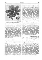 giornale/TO00174164/1935/unico/00000490