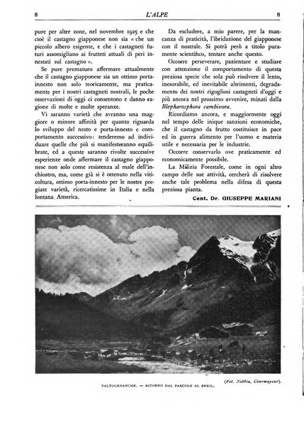 L'alpe rivista forestale italiana fondata dalla Società emiliana pro-montibus et sylvis