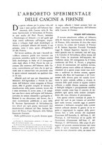 giornale/TO00174164/1936/unico/00000032