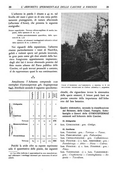 L'alpe rivista forestale italiana fondata dalla Società emiliana pro-montibus et sylvis