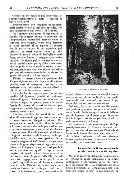 L'alpe rivista forestale italiana fondata dalla Società emiliana pro-montibus et sylvis