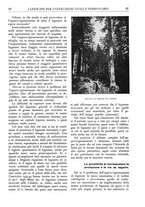 giornale/TO00174164/1936/unico/00000067