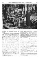 giornale/TO00174164/1936/unico/00000069