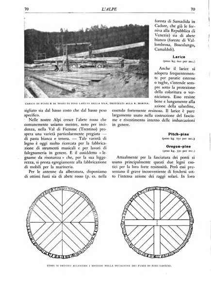 L'alpe rivista forestale italiana fondata dalla Società emiliana pro-montibus et sylvis