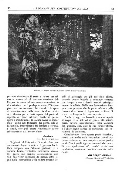 L'alpe rivista forestale italiana fondata dalla Società emiliana pro-montibus et sylvis