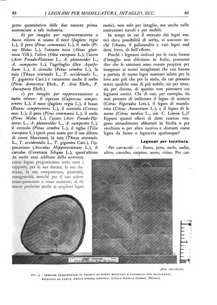 L'alpe rivista forestale italiana fondata dalla Società emiliana pro-montibus et sylvis