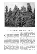 giornale/TO00174164/1936/unico/00000098