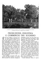 giornale/TO00174164/1936/unico/00000125