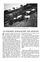 giornale/TO00174164/1936/unico/00000141