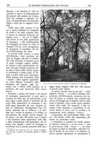 giornale/TO00174164/1936/unico/00000145