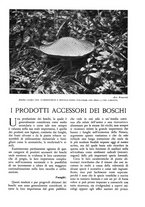 giornale/TO00174164/1936/unico/00000149