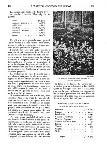 L'alpe rivista forestale italiana fondata dalla Società emiliana pro-montibus et sylvis