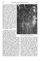 giornale/TO00174164/1936/unico/00000165