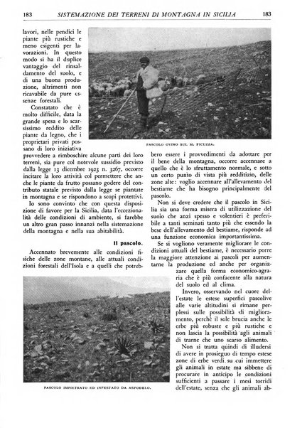 L'alpe rivista forestale italiana fondata dalla Società emiliana pro-montibus et sylvis