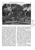 giornale/TO00174164/1936/unico/00000229