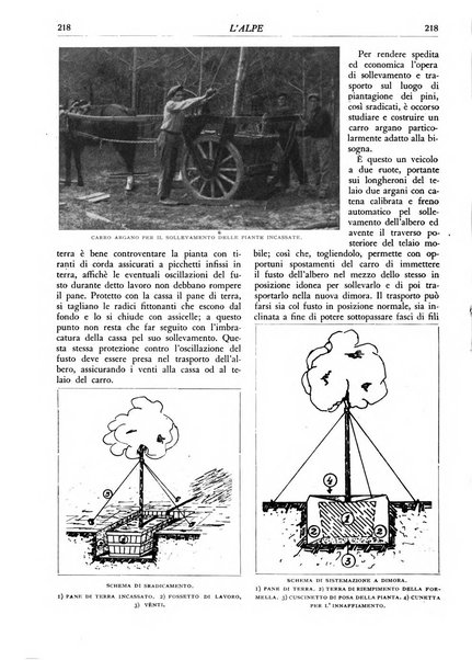 L'alpe rivista forestale italiana fondata dalla Società emiliana pro-montibus et sylvis