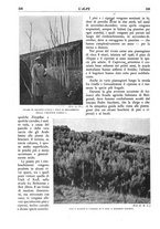 giornale/TO00174164/1936/unico/00000244