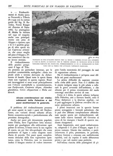 L'alpe rivista forestale italiana fondata dalla Società emiliana pro-montibus et sylvis