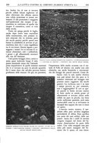 giornale/TO00174164/1936/unico/00000251