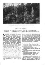 giornale/TO00174164/1936/unico/00000255