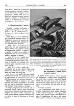 giornale/TO00174164/1936/unico/00000303