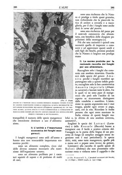 L'alpe rivista forestale italiana fondata dalla Società emiliana pro-montibus et sylvis